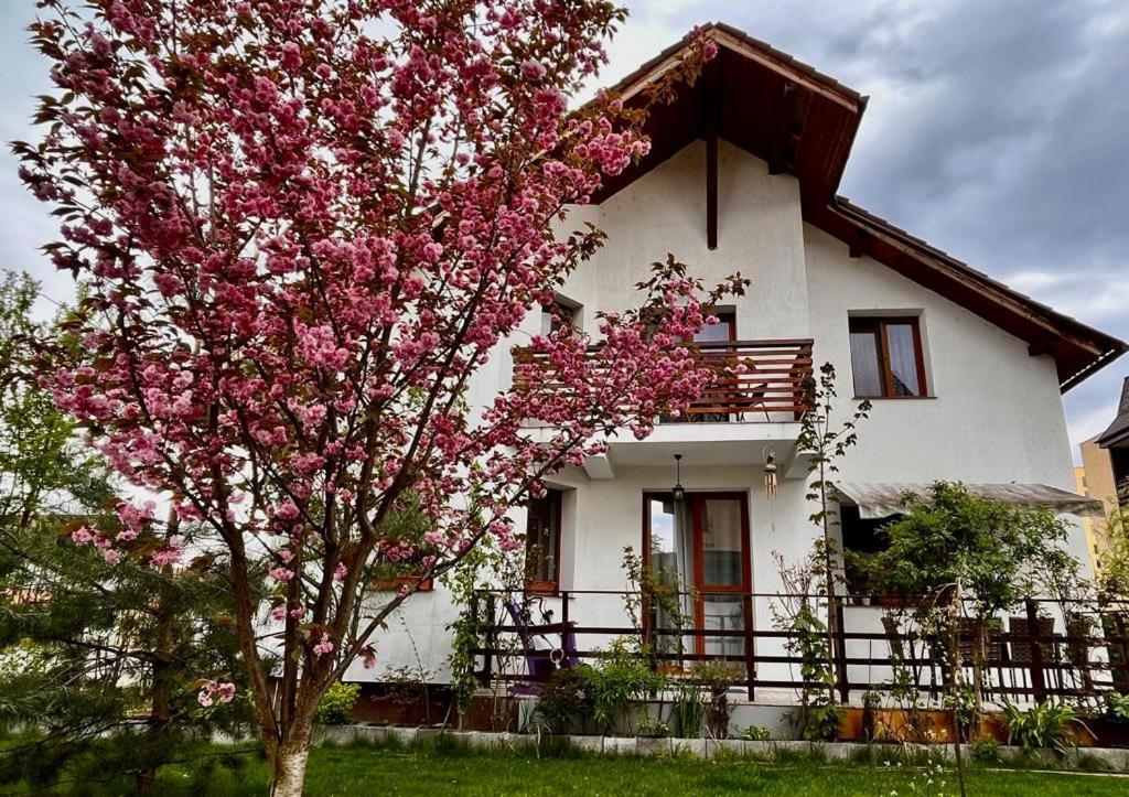 Cristina House Apartment *